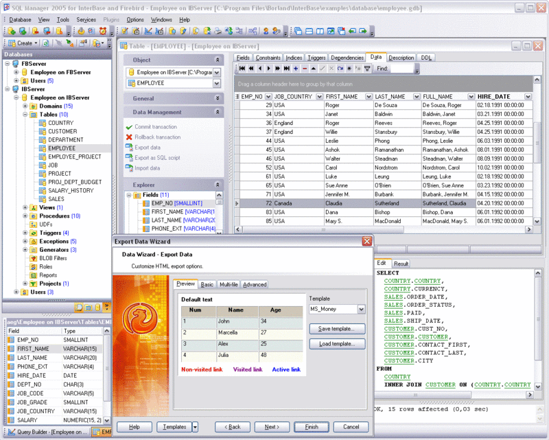 EMS IB Manager Professional Screenshot